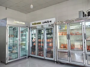 پروتئینی مرغ و ماهی پایتخت
