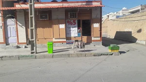 فروشگاه عباسی