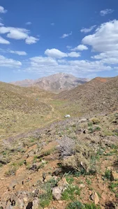 چشمه عسلی
