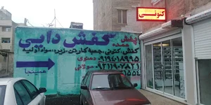 کفش دایی