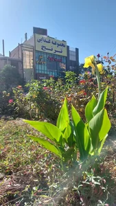 نان داغ کباب داغ ، فست فود و رستوران ترنج 4