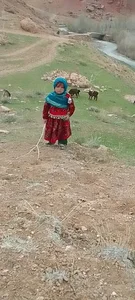انارستان مهریز