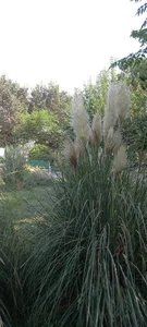 بوستان دانش