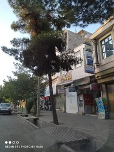 داروخانه دکتر فاضل 3