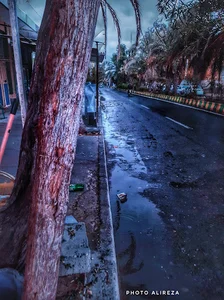 سوپر مارکت تیمور