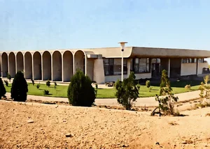 کوی دانشگاه تهران