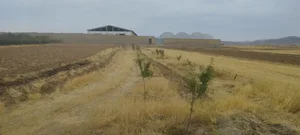 سوپرمارکت صلواتی