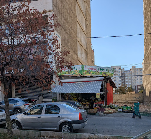 باغ میوه سهند