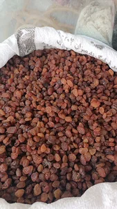 کشمش و خشکبار سودمند