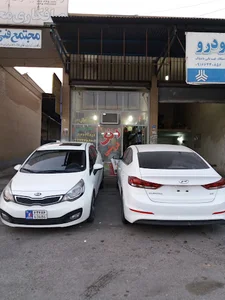 رنگ فروشی زاهد