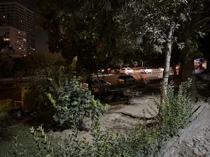 بوستان آشیان