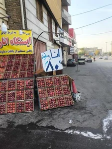 ایستگاه انار 3