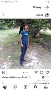 علی کریمی