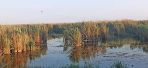 سرریز حوضچه دو