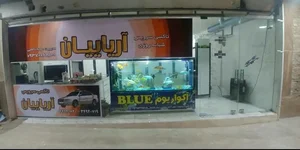 تاکسی سرویس آریاییان 2
