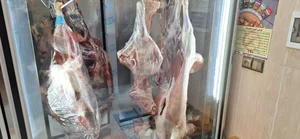 فروشگاه گوشت مرغ و ماهی داسدار 3