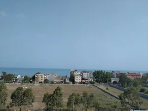 مجتمع شقایق
