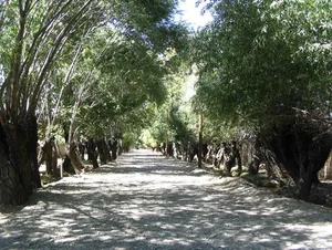 اوستا سرویس