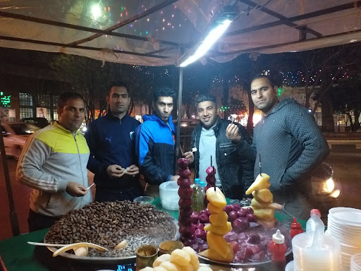 آژانس خلیج فارس