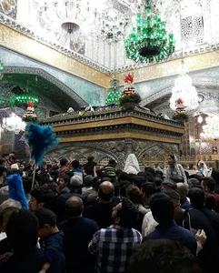 گلخانه صخره سبز