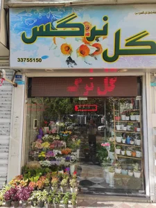 گل مریم 2