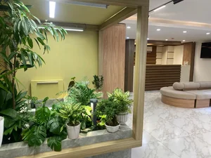 بینایی سنجی و عینک سازی حمزه کمری نیا 2
