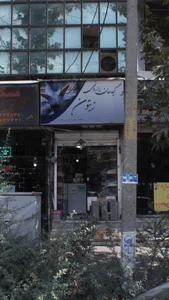 گیاهان داروئی زیتون