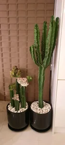 سوپر گل (لیل‌آباد) 5