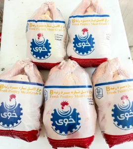 مرغ وپروتئینی بیرنا 4