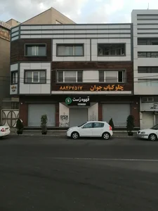 چلوکباب جوان گیشا 2