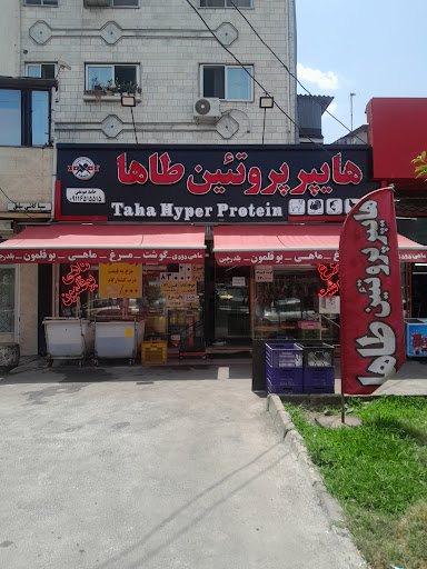 پروتئینی طاها