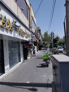 دکتر زهرا شکیبافر