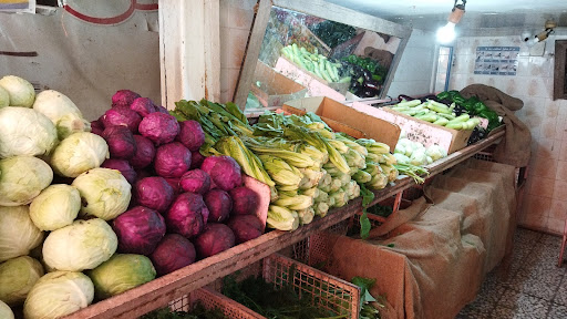 میوه فروشی کیانی
