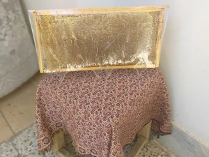 لبنیاتی اباذر