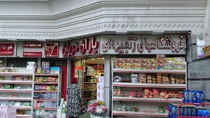 فروشگاه یاران دریان