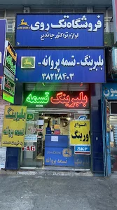 فروشگاه تکروی | تسمه پروانه بلبرینگ اورینگ