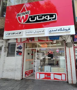 نمایندگی بوتان اسدی