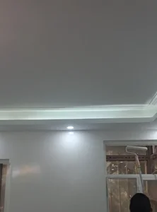 نقاش ساختمان در منیریه 3