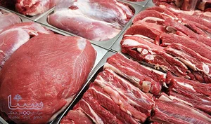 مرغ و گوشت نمایندگی سپید پر