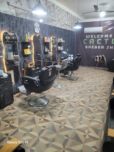آرایشگاه کاکتوس