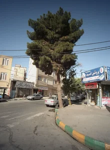 پروتئین امید 2