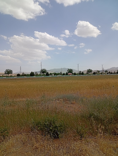 باغ محمود طاهری