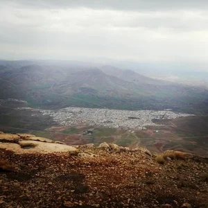 شیرز