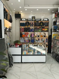 اسپرت بجلی