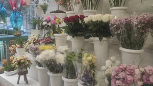 مارکت سبز