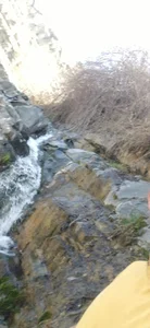 هوراند کلیبر