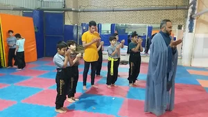 باشگاه کنگ فو شیفو