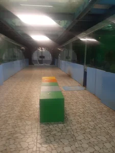 تونل آکواریوم