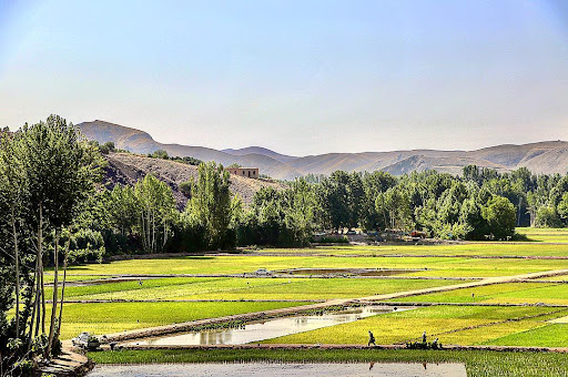 بهادران درمانی