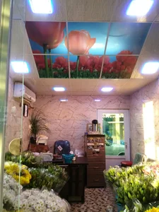 گل و گیاه بنیتا 2